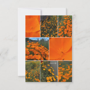 Carte De Correspondance Collage du coquelicot en Californie
