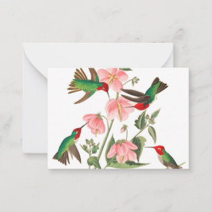 Carte De Correspondance Columbian Humming par John James Audubon