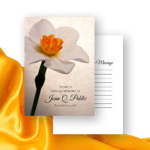 Carte De Correspondance Daffodique de printemps blanc Partager un enterrem