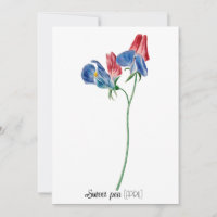 Date de naissance Fleur Pois doux (avril)