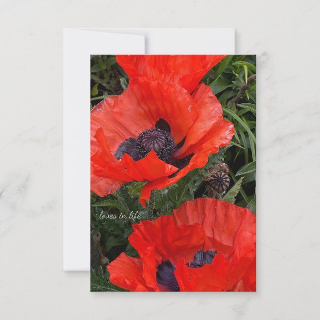 Carte De Correspondance Deux pépites orientales orange (Devant)