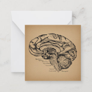 Carte De Correspondance Diagramme du cerveau Vintage Antique Art Anatomiqu