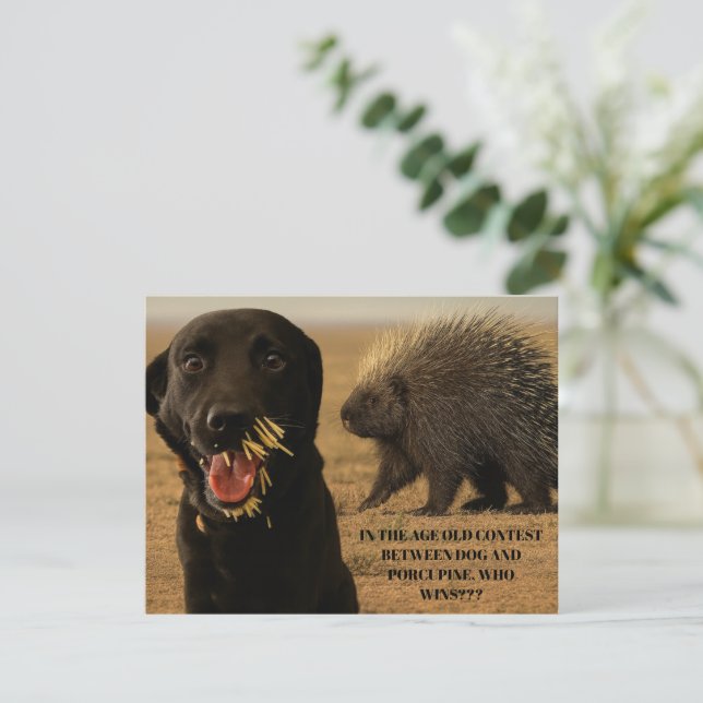 Carte De Correspondance Dog vs. Porcupine Card (Debout devant)