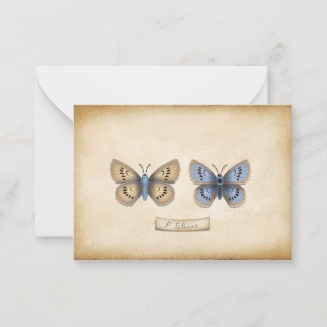 Carte De Correspondance Écarce Grand Papillon Bleu Spécimen Personnalisabl (Devant)