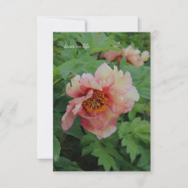 Carte De Correspondance Elégant Peony ton rose