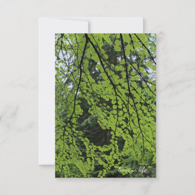 Carte De Correspondance Feuillage de l'arbre de printemps (Devant)