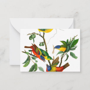 Carte De Correspondance Finche peinte par John James Audubon