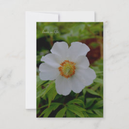 Carte De Correspondance Fleur de tourbe blanche simple
