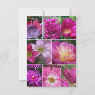 Carte De Correspondance Fleur Rose Rose Rose