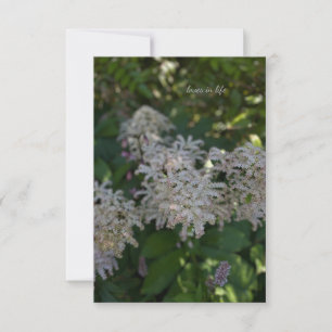 Carte De Correspondance Fleurs de jardin