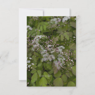 Carte De Correspondance Fleurs d'été blanches délicates