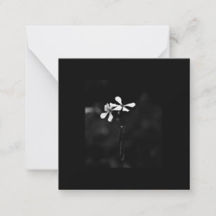 Carte De Correspondance floral noir et blanc minimal