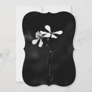 Carte De Correspondance floral noir et blanc minimal