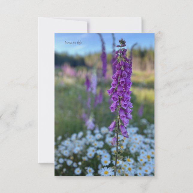 Carte De Correspondance Foxglove & Daisies (Devant)