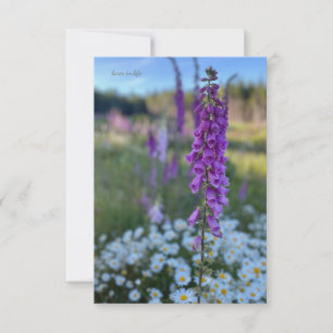 Carte De Correspondance Foxglove & Daisies