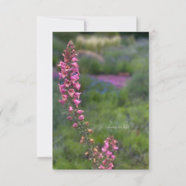 Carte De Correspondance Foxglove dans le jardin éternel (Devant)