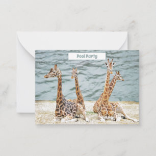 Carte De Correspondance Giraffe Water Fun Photo - Fête de Quatre Giraffe