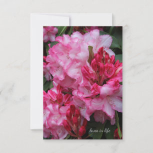 Carte De Correspondance Grand Rhododendron rose