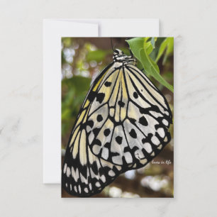 Carte De Correspondance Gros Papillon noir et blanc