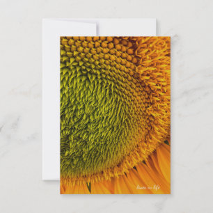 Carte De Correspondance Gros Sunflower Centre Vert