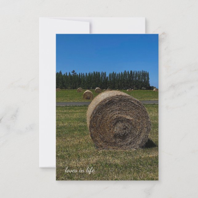 Carte De Correspondance Hay Bales (Devant)