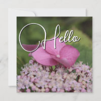 Hello naissance souhaiter bienvenue saluer rose