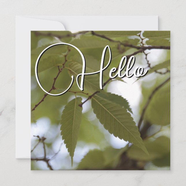 Carte De Correspondance Hello naissance souhaiter bienvenue saluer vert (Devant)