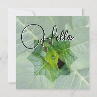 Carte De Correspondance Hello naissance souhaiter bienvenue saluer vert