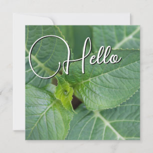 Carte De Correspondance Hello naissance souhaiter bienvenue saluer vert