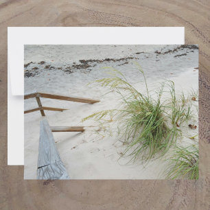 Carte De Correspondance Herbe marine et dune de sable blanc Photographie d
