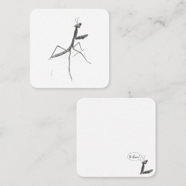 Carte De Correspondance Hi there! Praying Mantis (Devant / Derrière)