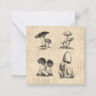 Carte De Correspondance Illustration de l'art des champignons vintages