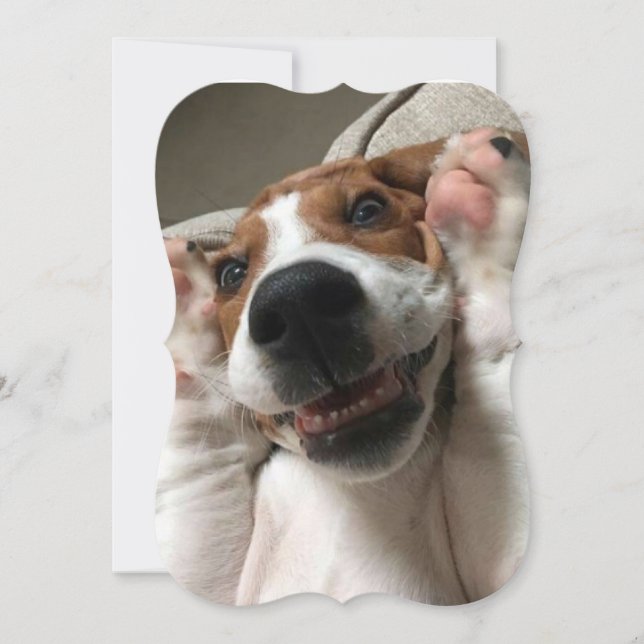 Carte De Correspondance Jeter un oeil à un chien de garde (Devant)
