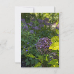 Carte De Correspondance Joli Allium