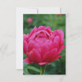 Carte De Correspondance Joli Peony Jardin Rose