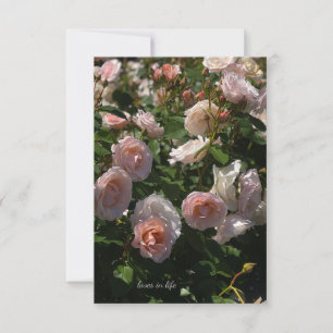 Carte De Correspondance Joli Roses rose pâle