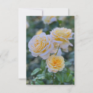 Carte De Correspondance Jolie Roses Jaunes Légères