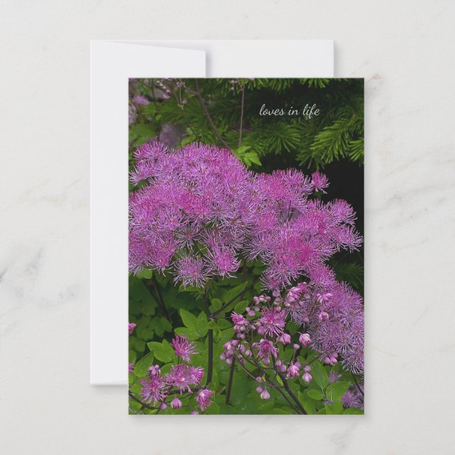 Carte De Correspondance Jolies fleurs violettes (Devant)