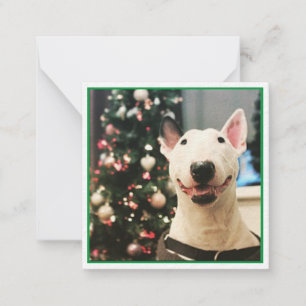 Carte De Correspondance Joyeux Noël Smiling Bull Terrier