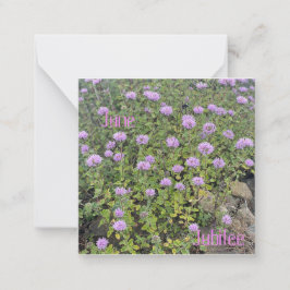 Carte De Correspondance Juillet