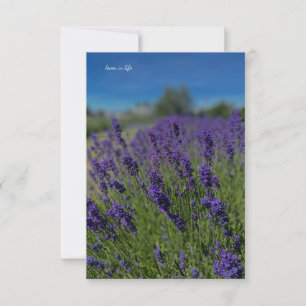 Carte De Correspondance Lavande et Ciel bleu