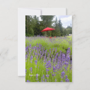 Carte De Correspondance Lavande violette, Parapluie rouge
