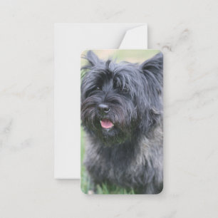 Carte De Correspondance Le Caire