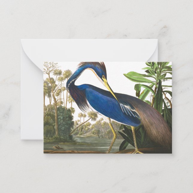 Carte De Correspondance Louisiana Heron par John James Audubon (Devant)