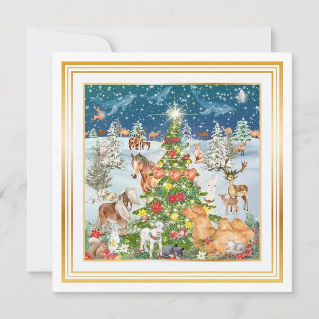 Carte De Correspondance Lumière d'hiver (Devant)