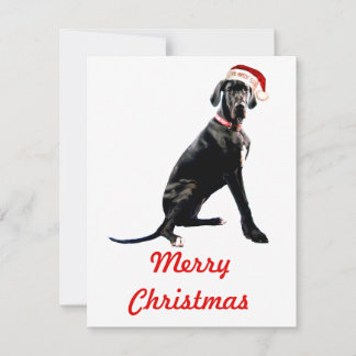 Carte De Correspondance Magnifique Great Dane au chapeau de Père Noël 