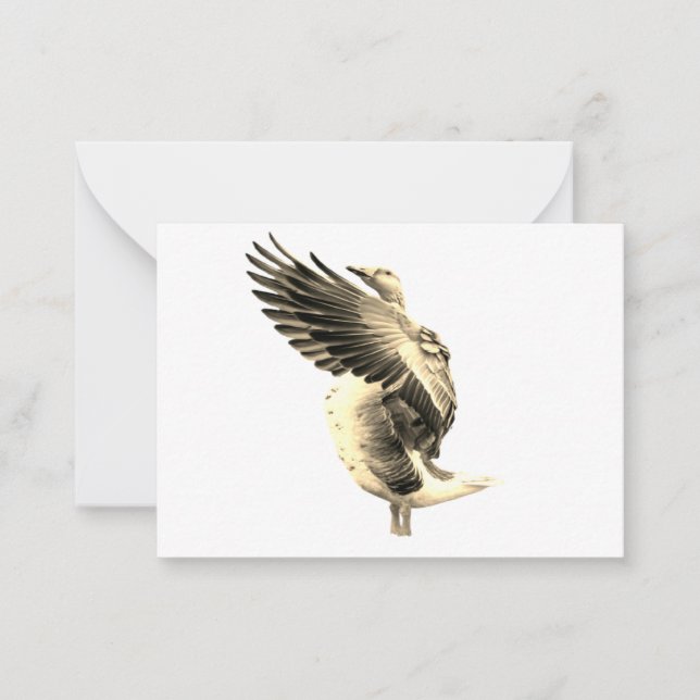 Carte De Correspondance magnifique oie (Devant)