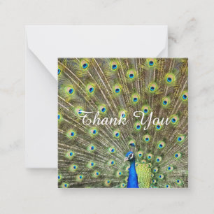 Carte De Correspondance Magnifique paon majestueux Merci