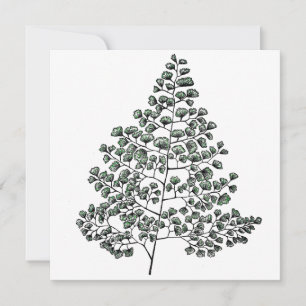 Carte De Correspondance Maidenhair Fern