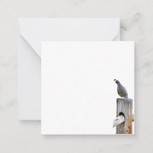 Carte De Correspondance Papier photo Valley Quail